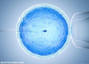苏主任医师